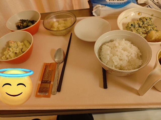 f:id:kamomehage:20251118162011j:image