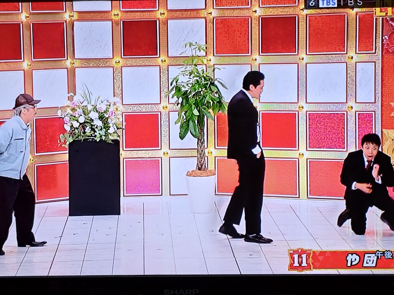 f:id:kamomehage:20261017221255j:image f:id:kamomehage:20261017221255j:image