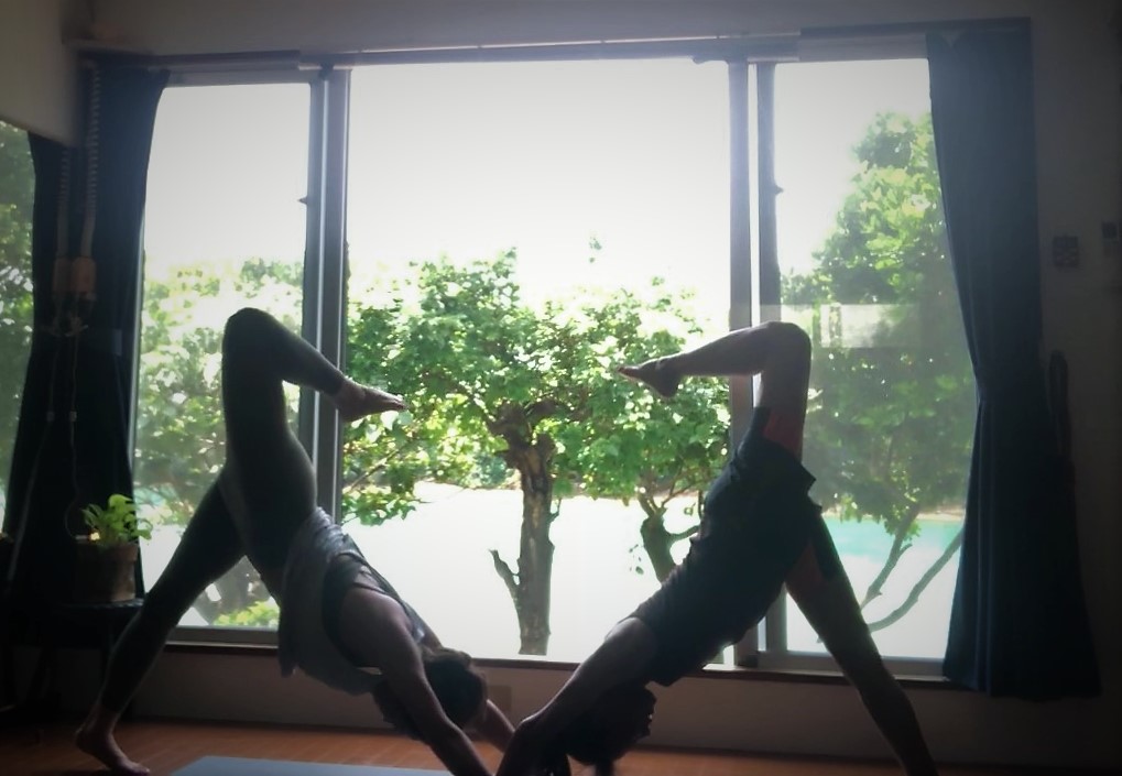 f:id:kamomehouse:20190423232624j:plain