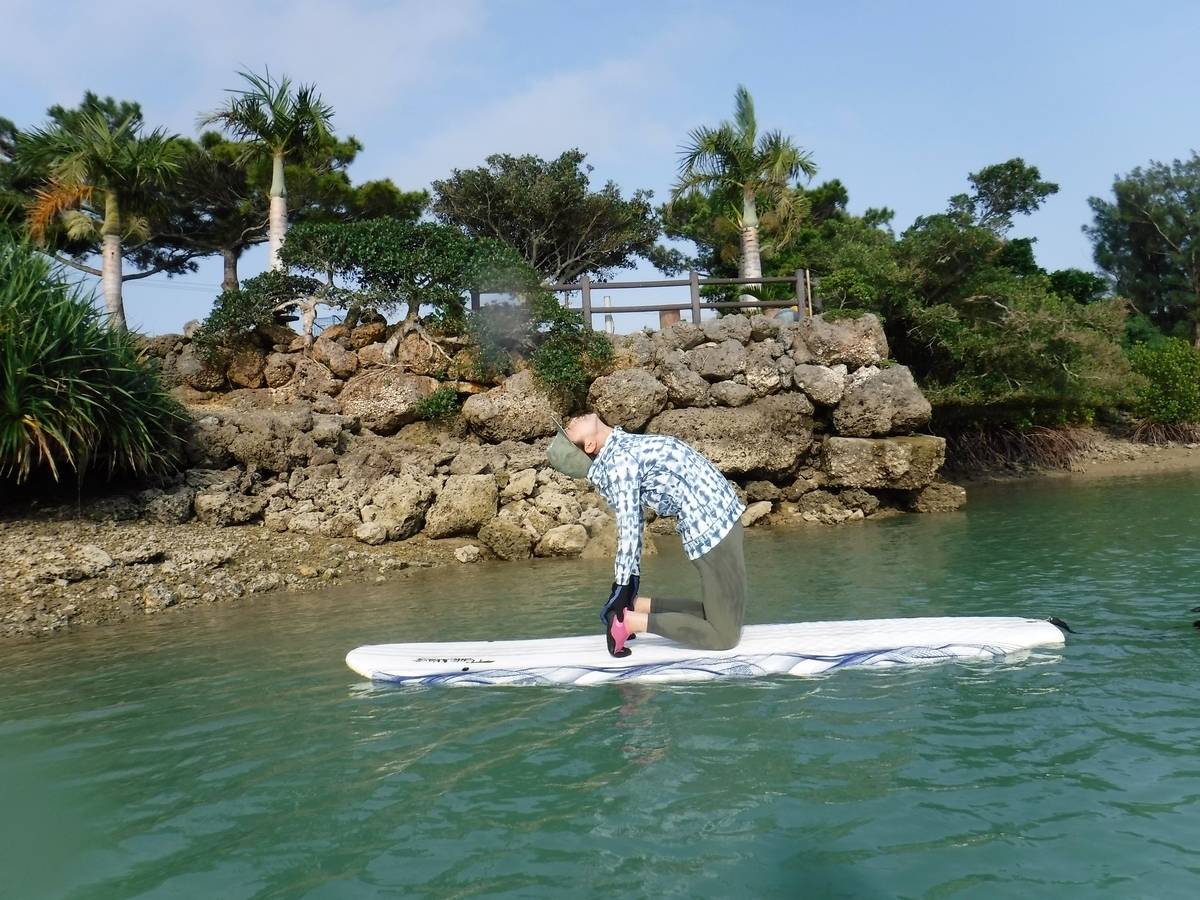 f:id:kamomehouse:20190424155520j:plain
