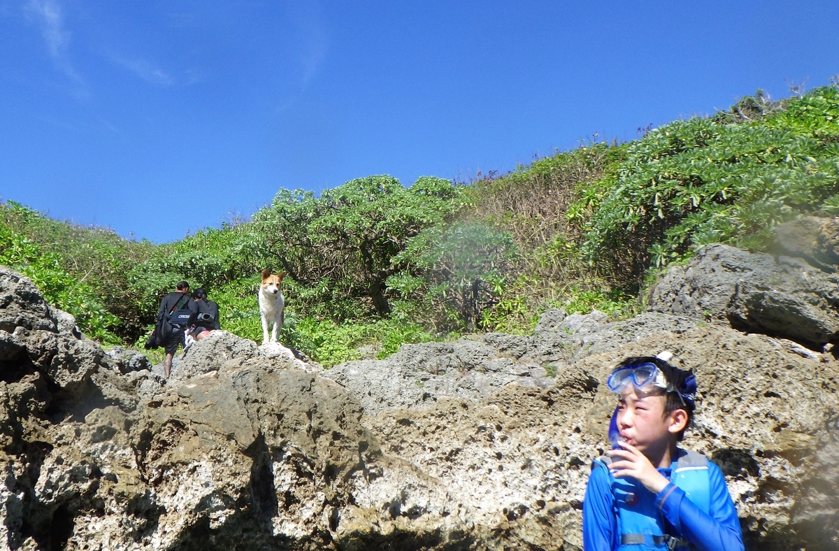 f:id:kamomehouse:20190801143604j:plain