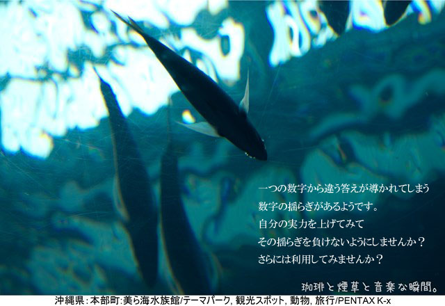 f:id:kamomenotoushi:20170129004026j:plain f:id:kamomenotoushi:20170129004026j:plain