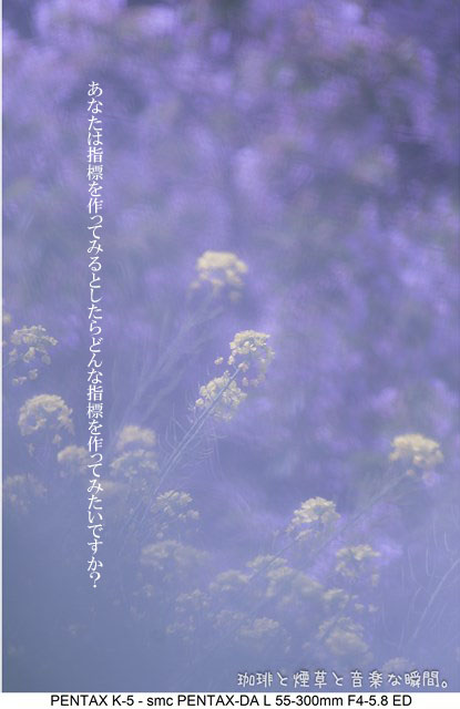 f:id:kamomenotoushi:20170419230331j:plain f:id:kamomenotoushi:20170419230331j:plain
