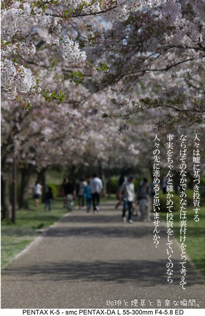 f:id:kamomenotoushi:20170626180813j:plain f:id:kamomenotoushi:20170626180813j:plain