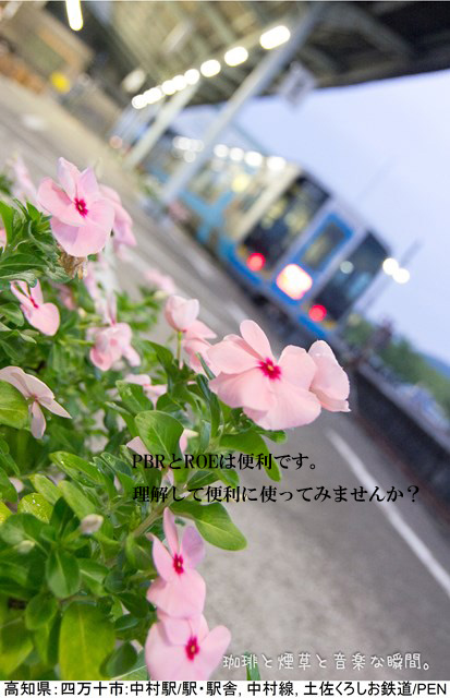 f:id:kamomenotoushi:20200521095118j:plain f:id:kamomenotoushi:20200521095118j:plain