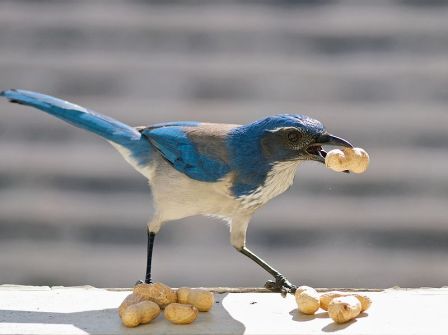 f:id:kamomesky:20120929120003j:image:w260