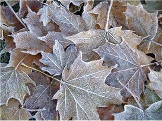f:id:kamomesky:20121113092925j:image:w280
