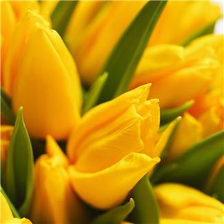 f:id:kamomesky:20130307150425j:image:w260