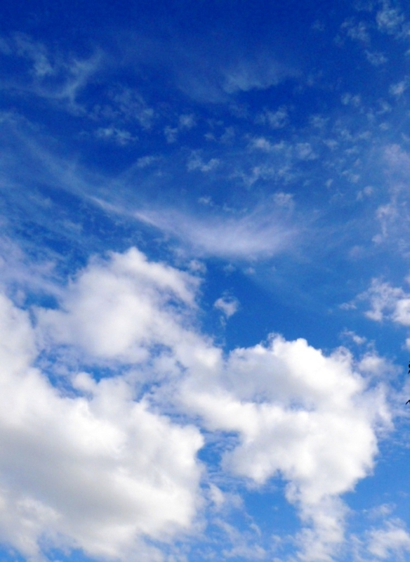 f:id:kamomesky:20130825161305j:image:w280