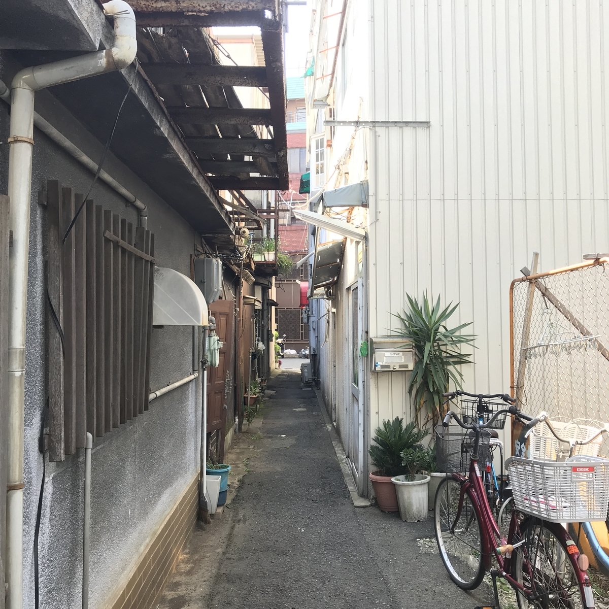 f:id:kamonakuhukamonaku:20190326204807j:plain