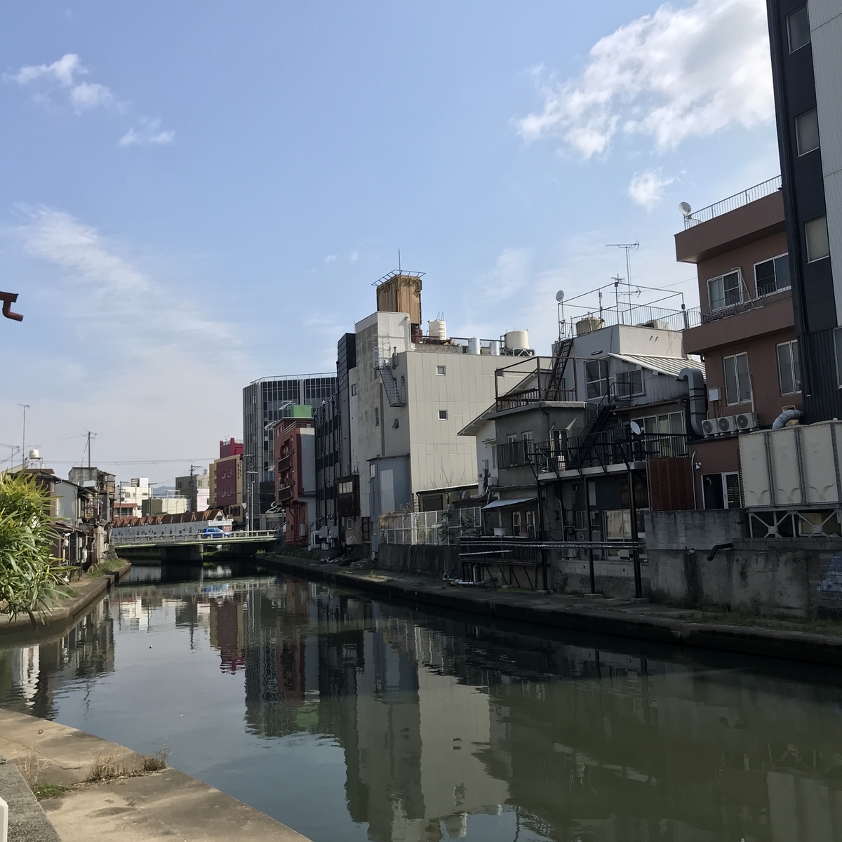 f:id:kamonakuhukamonaku:20190326205244j:plain