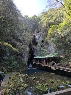 エントリ画像