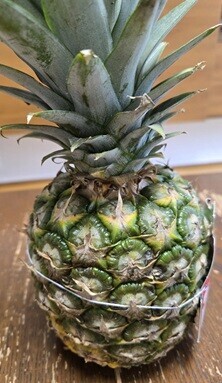 エントリ画像