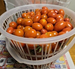 エントリ画像