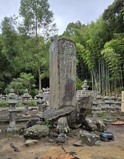 エントリ画像