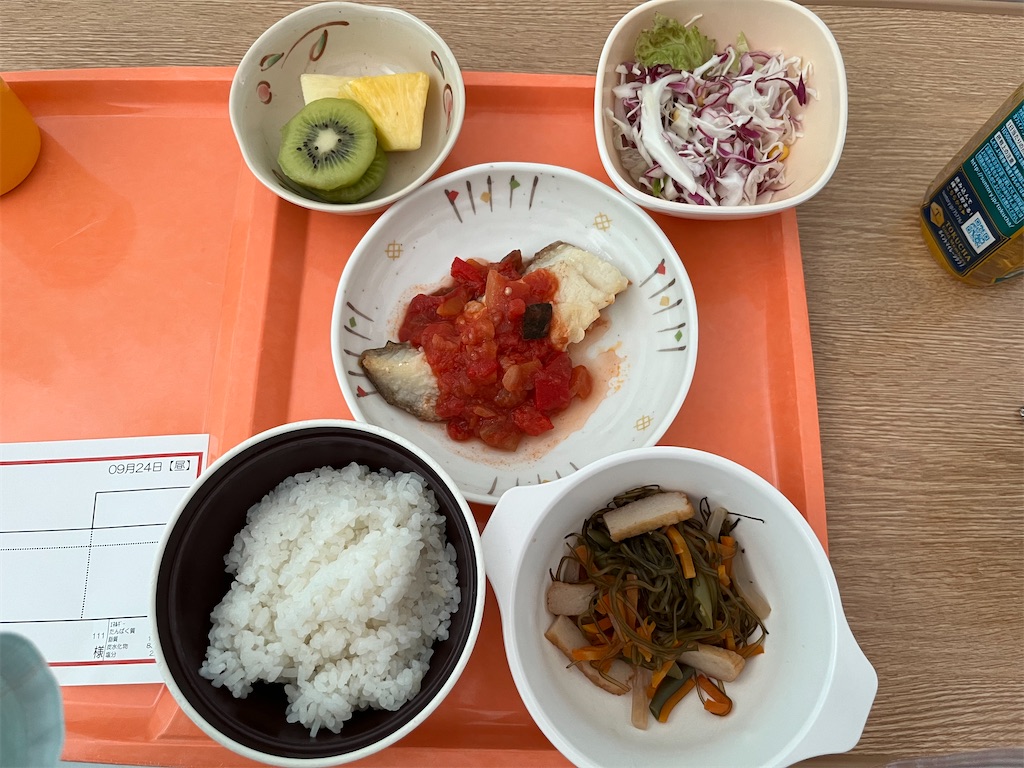 f:id:kamonegi22:20240924175345j:image f:id:kamonegi22:20240924175345j:image