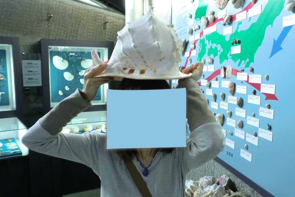 f:id:kamonji224:20160912224415j:plain