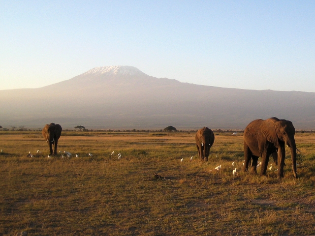 f:id:kamonji224:20161205222006j:plain