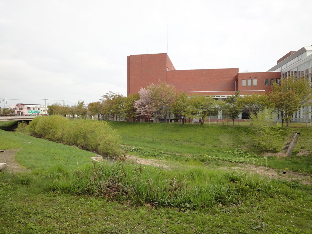 f:id:kamonji224:20170514153445j:plain