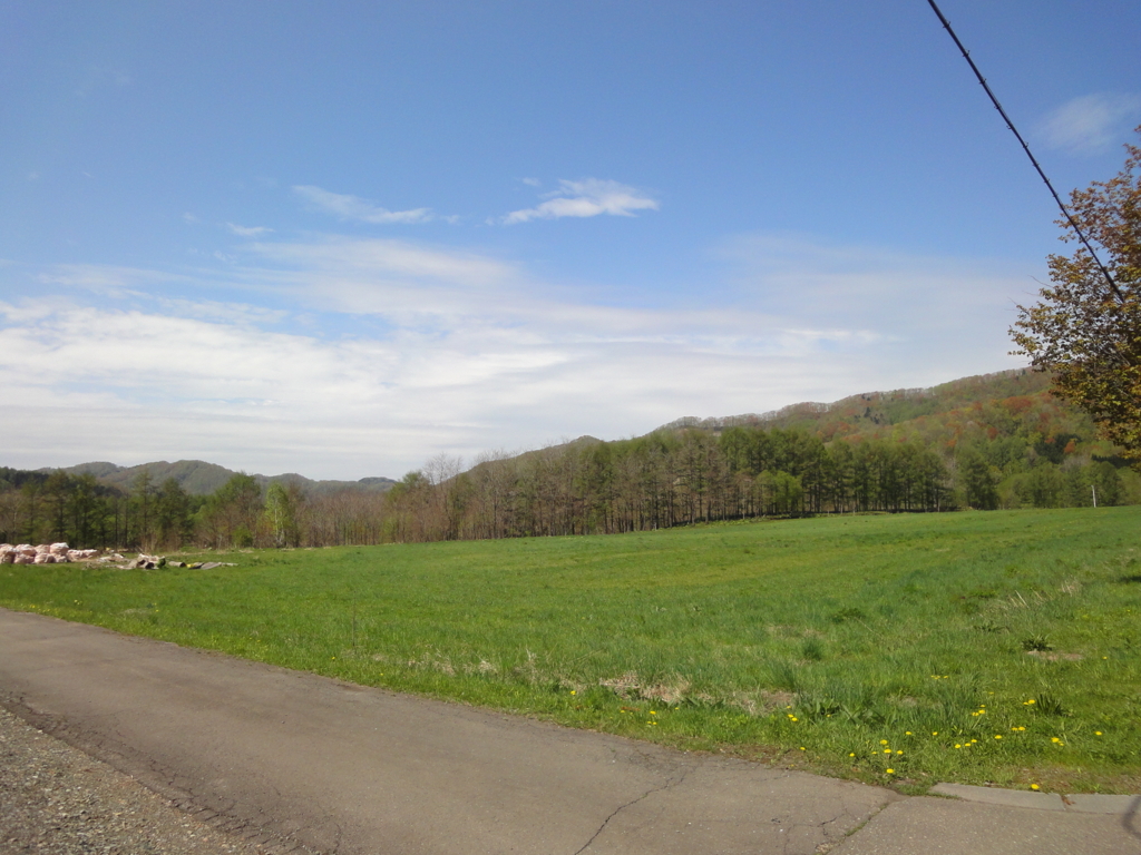 f:id:kamonji224:20170520102225j:plain