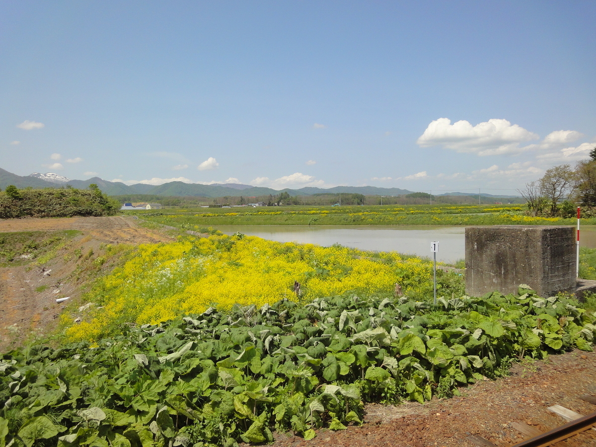 f:id:kamonji224:20190615074429j:plain