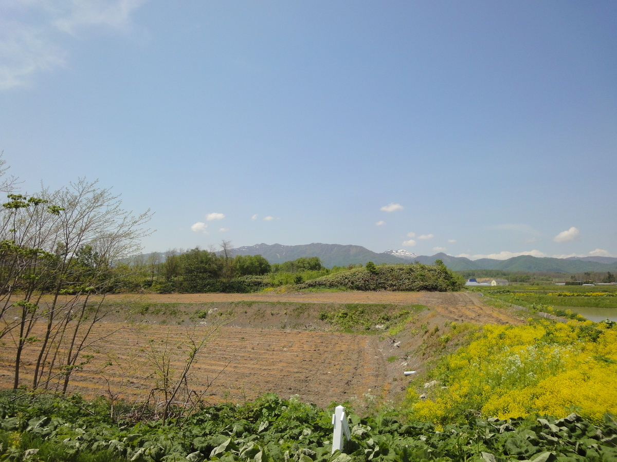 f:id:kamonji224:20190615074733j:plain