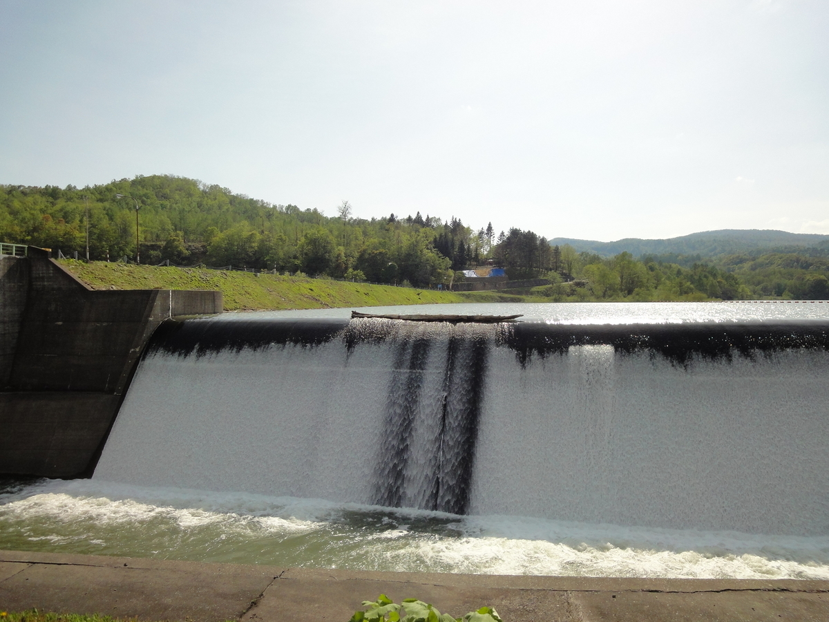 f:id:kamonji224:20190625230931j:plain f:id:kamonji224:20190625230931j:plain