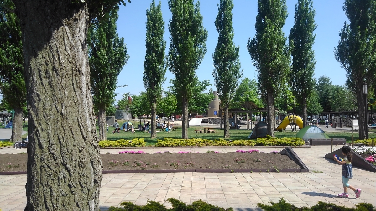 f:id:kamonji224:20190629135923j:plain