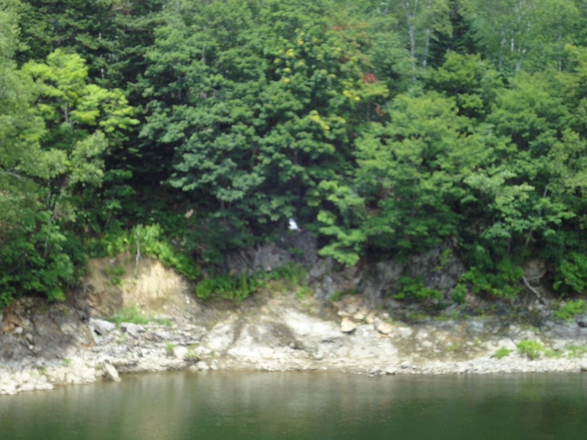 鷹泊ダム