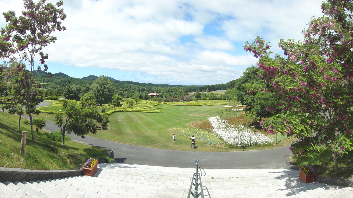 f:id:kamonji224:20200623230436j:plain f:id:kamonji224:20200623230436j:plain