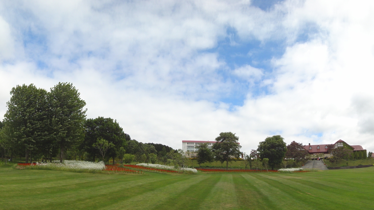 f:id:kamonji224:20200623230727j:plain f:id:kamonji224:20200623230727j:plain