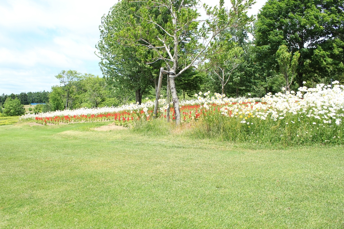 f:id:kamonji224:20200623231648j:plain f:id:kamonji224:20200623231648j:plain