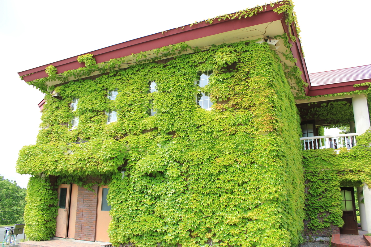 f:id:kamonji224:20200623232116j:plain f:id:kamonji224:20200623232116j:plain