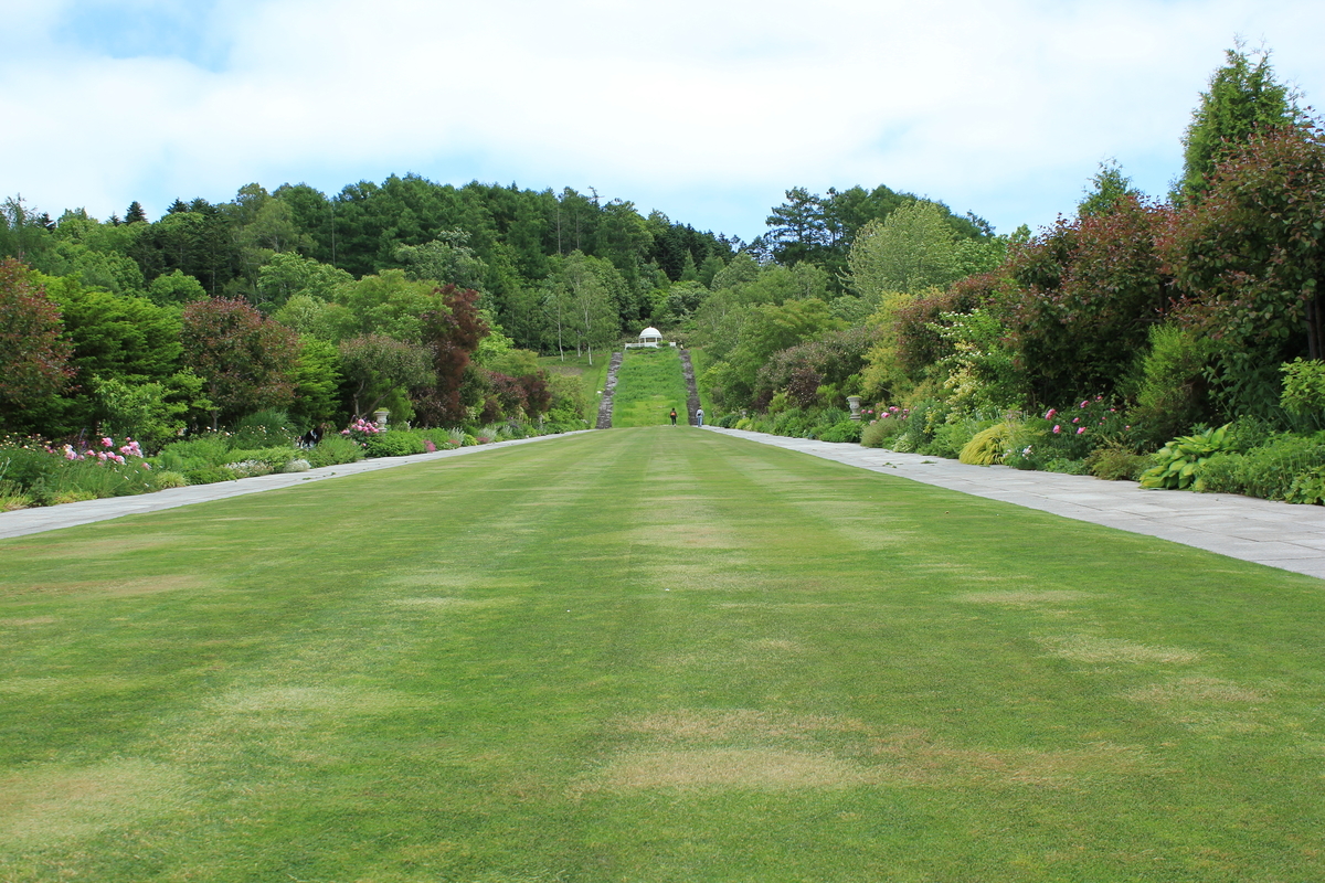 f:id:kamonji224:20200623232746j:plain f:id:kamonji224:20200623232746j:plain