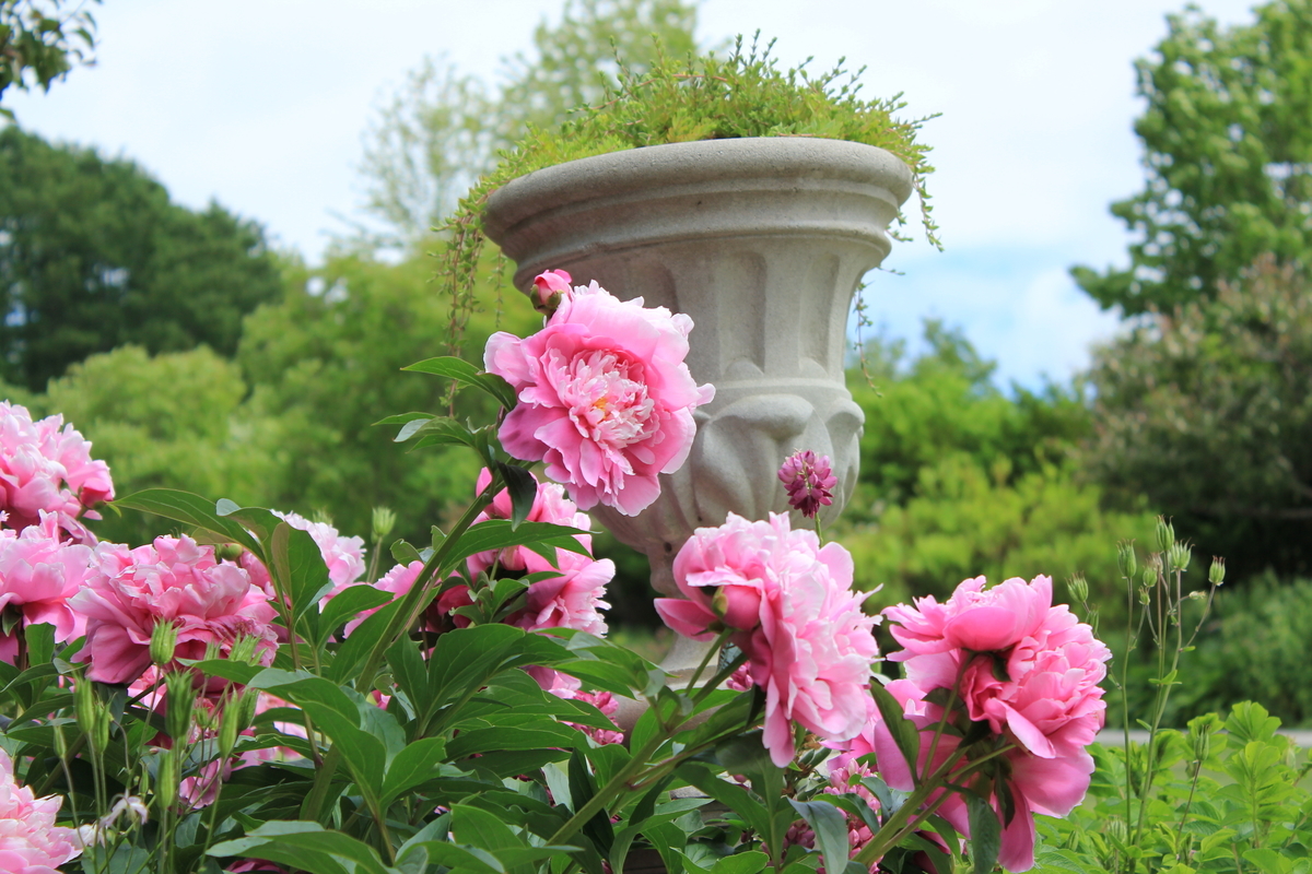 f:id:kamonji224:20200623232829j:plain f:id:kamonji224:20200623232829j:plain