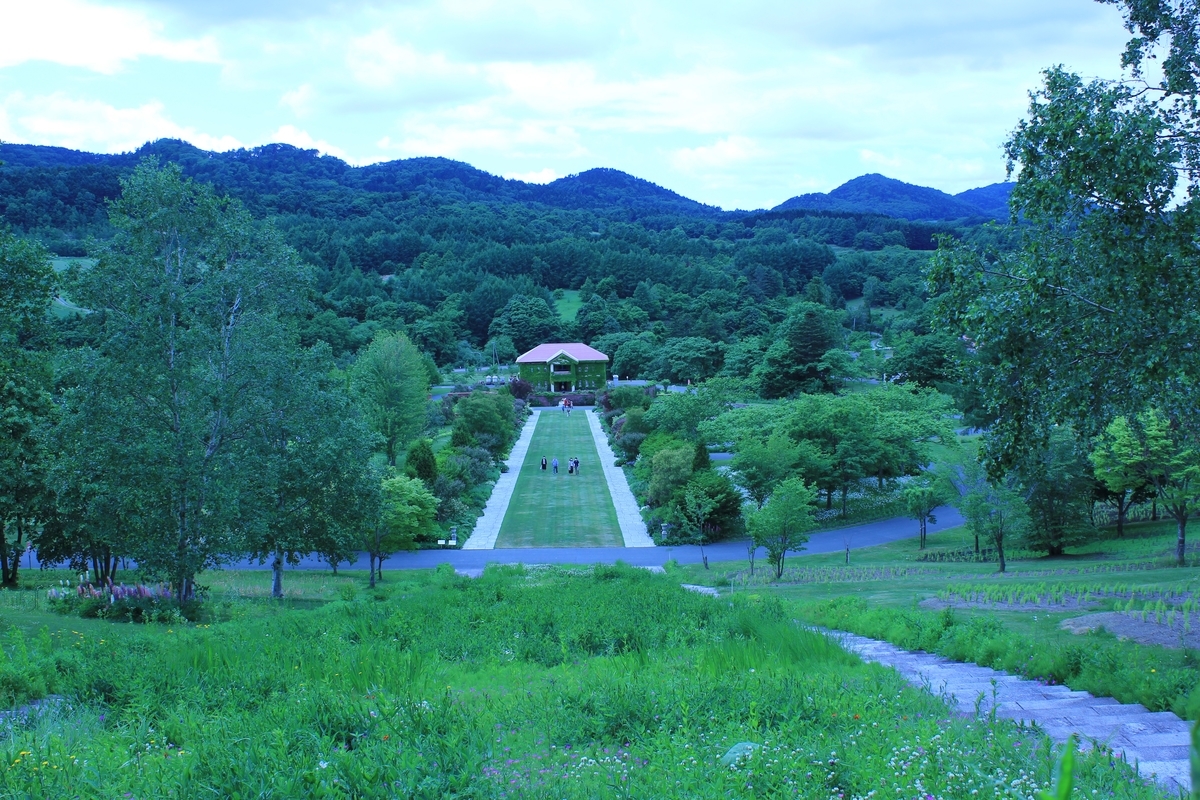 f:id:kamonji224:20200623232911j:plain f:id:kamonji224:20200623232911j:plain