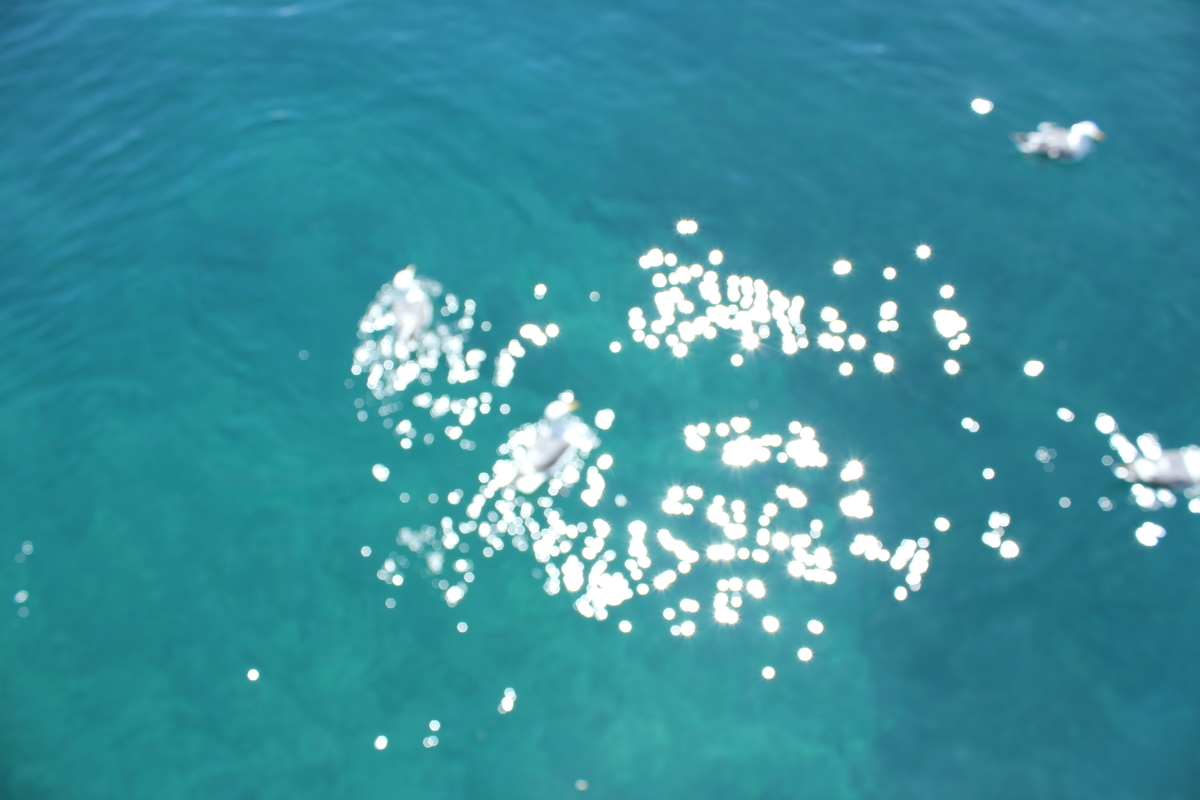 f:id:kamonji224:20200806233111j:plain