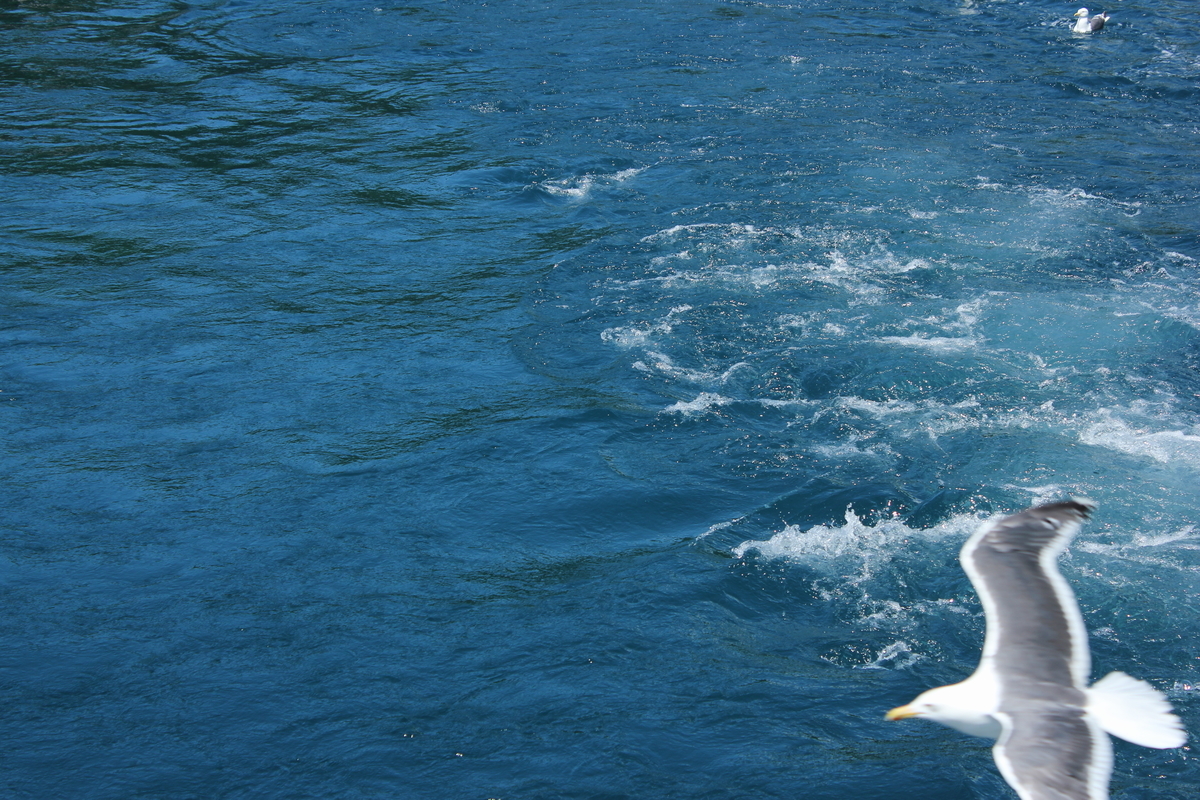 f:id:kamonji224:20200806233304j:plain