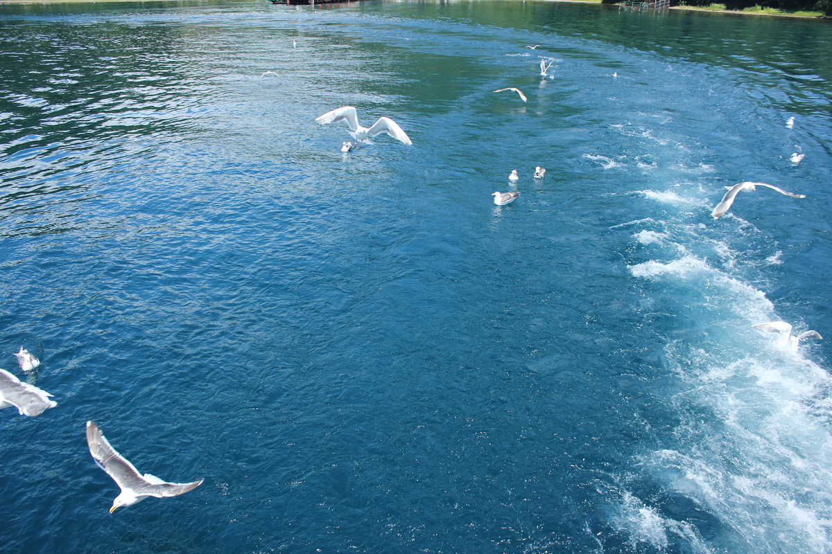 f:id:kamonji224:20200806233358j:plain