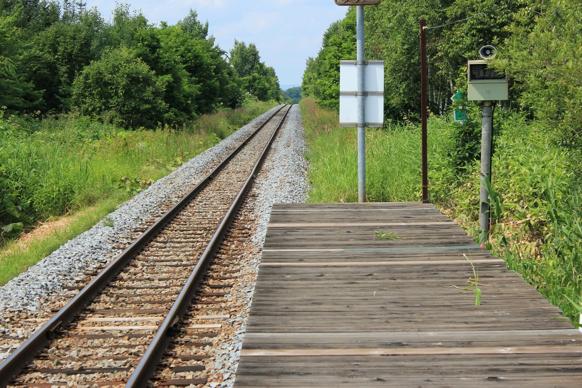 f:id:kamonji224:20200822001212j:plain f:id:kamonji224:20200822001212j:plain