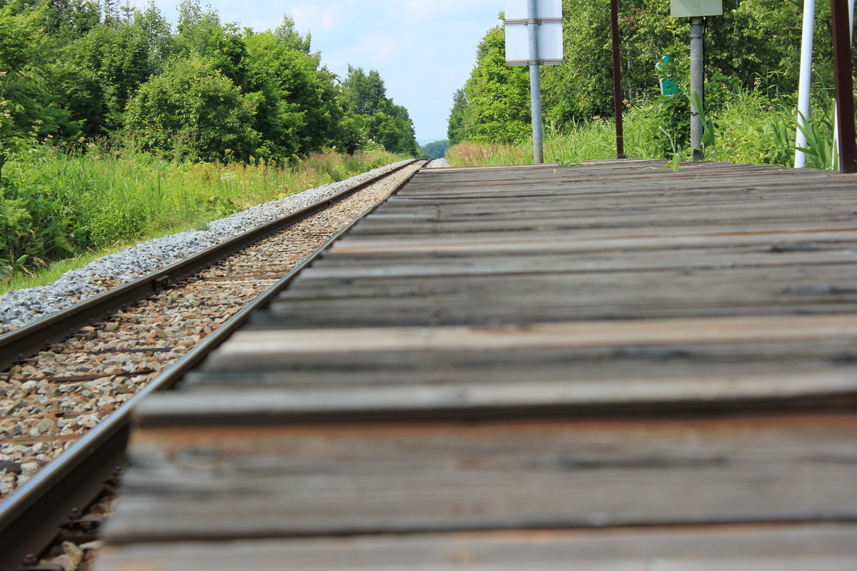 f:id:kamonji224:20200822001405j:plain f:id:kamonji224:20200822001405j:plain