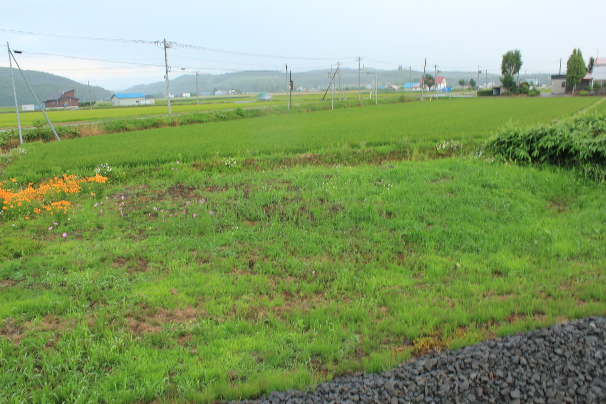 f:id:kamonji224:20200906174022j:plain
