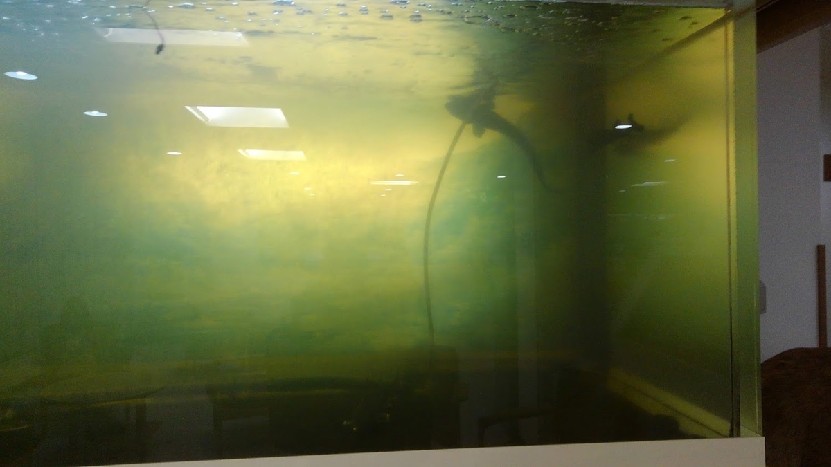 f:id:kamonji224:20200914104303j:plain