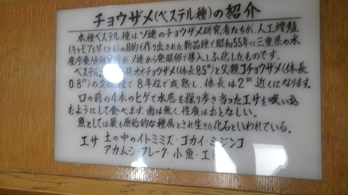 f:id:kamonji224:20200914104350j:plain