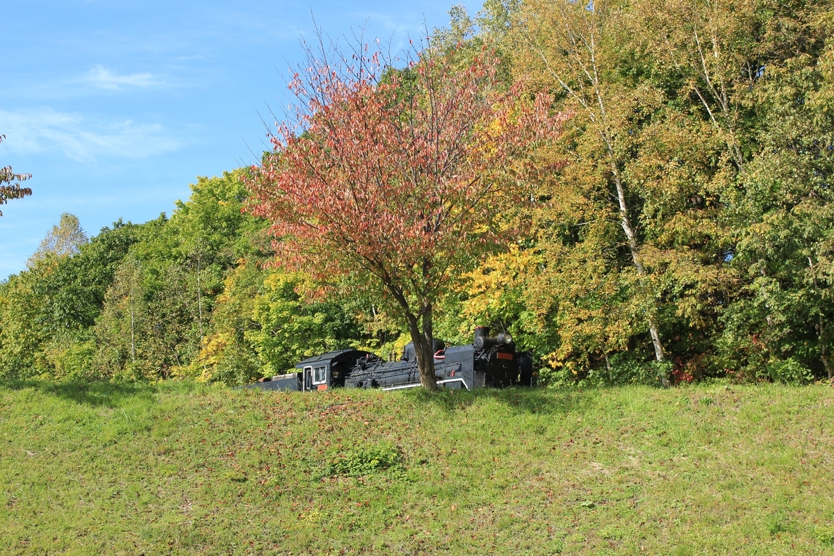 f:id:kamonji224:20210121235030j:plain