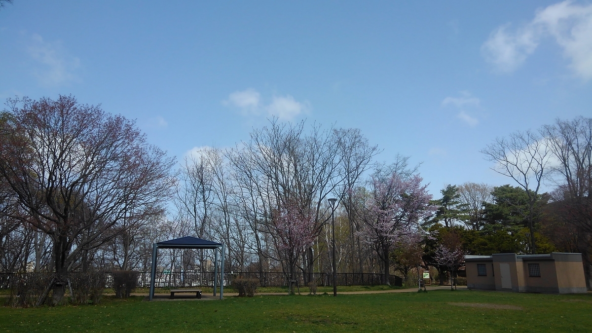 f:id:kamonji224:20210511225032j:plain