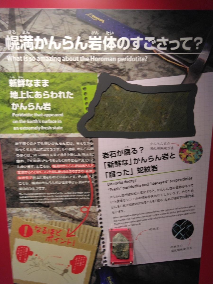 北海道・様似・幌満橄欖岩・ハルツバージャイト 北海道・様似・幌満