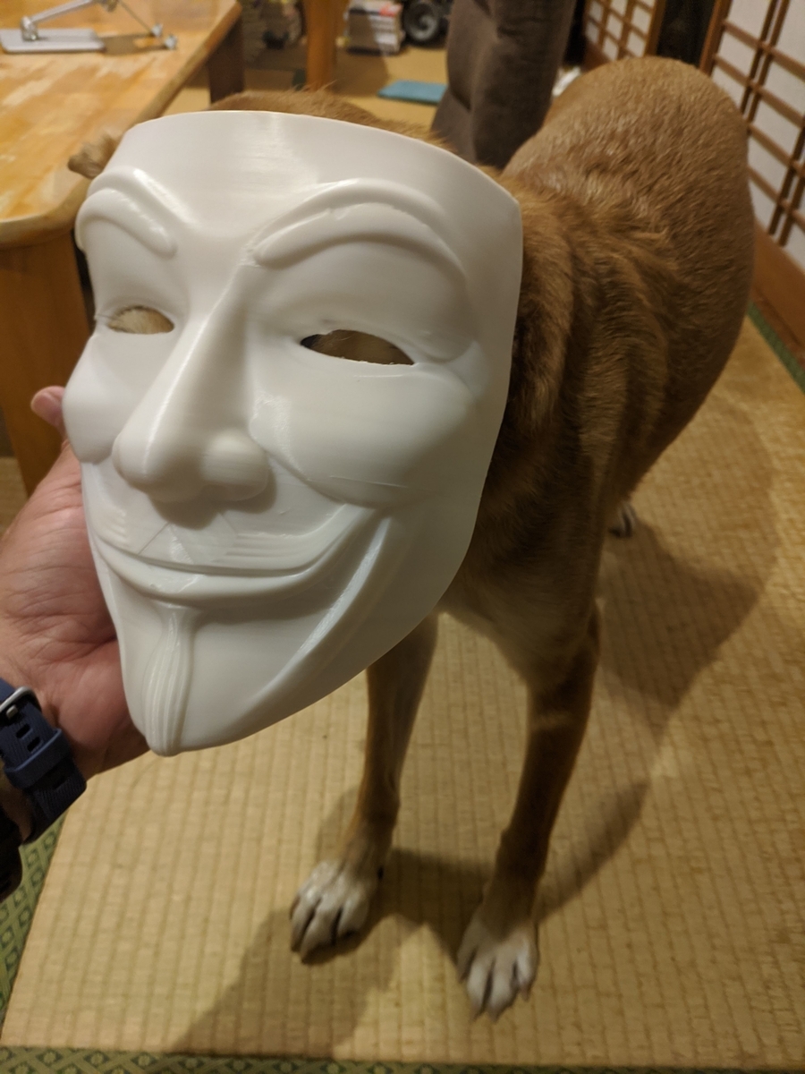 f:id:kamosawa:20220312230624j:plain