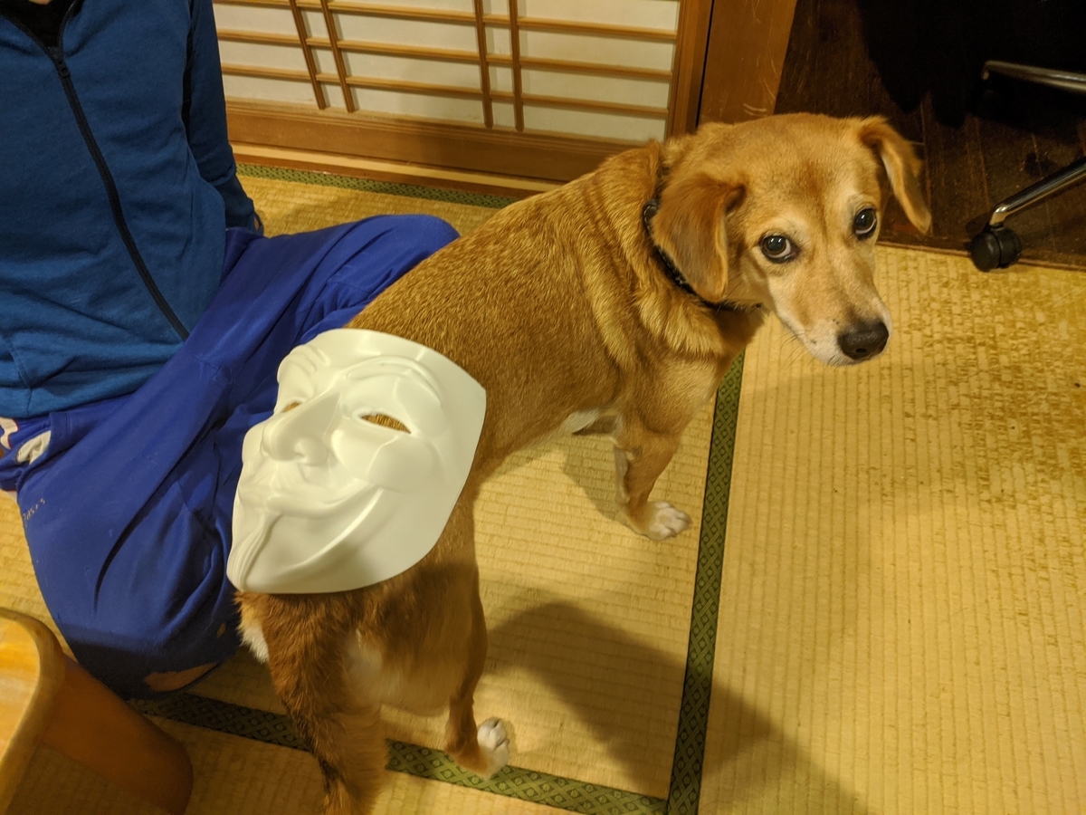 f:id:kamosawa:20220312230915j:plain