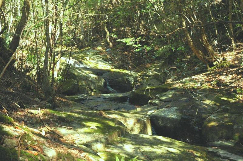 Dsc_0260 Dsc_0260